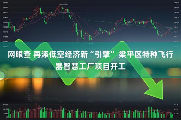 网眼查 再添低空经济新“引擎” 梁平区特种飞行器智慧工厂项目开工