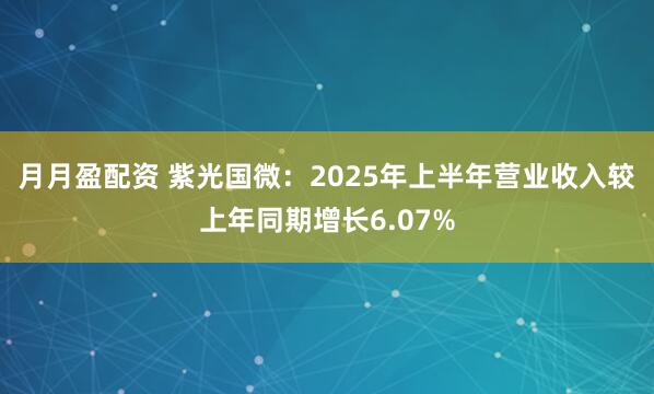 月月盈配资 紫光国微：2025年上半年营业收入较上年同期增长6.07%